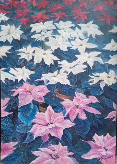 Obra 14